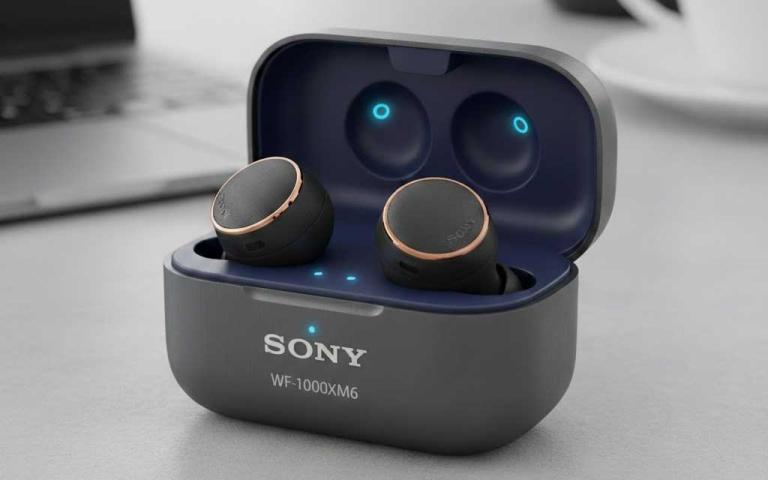 Sony WF-1000XM6 wireless earbuds in black with compact charging case